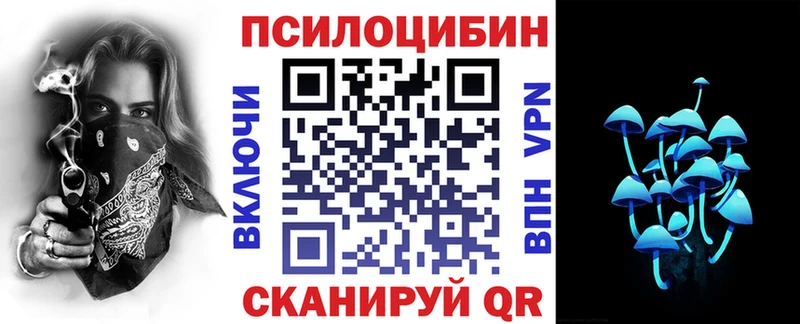 как найти закладки  Скопин  Псилоцибиновые грибы Cubensis 
