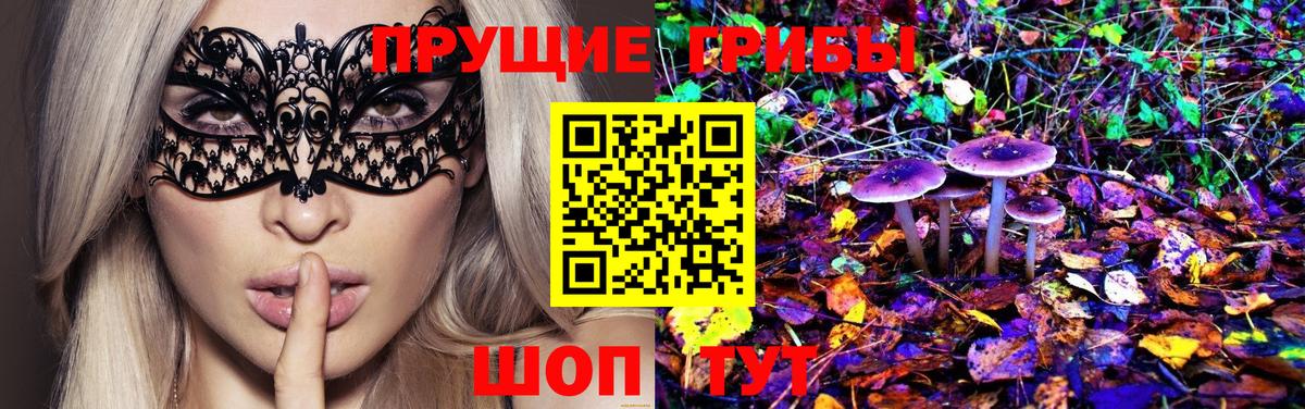 Галлюциногенные грибы прущие грибы  Галлюциногенные грибы Psilocybe  Вход с VPN  Скопин 