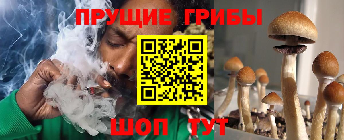 Галлюциногенные грибы Psilocybine cubensis Скопин